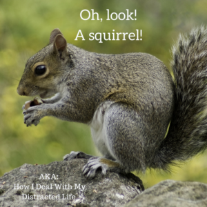 Grey squirrel eating nut with blog title text in white letters